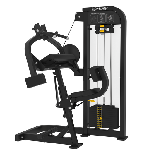 SEATD TRICEPS LINEA IRON