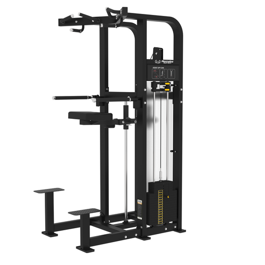 DIP/CHIN ASSIST LINEA IRON